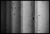 _MG_7841-web.jpg