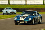 Cobra-Daytona_1.jpg