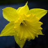 Nikon-D60_0010_klein.jpg