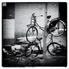 Filename=klein_2011-11-11_Bicycle_parking_006.jpg
Filesize=236KB
Dimensions=800x800
Date added=Nov 13, 2011 klein_2011-11-11_Bicycle_parking_006.jpg