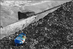 The-Blue-Bottle.jpg