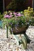 Filename=Wheelbarrow.JPG
Filesize=97KB
Dimensions=402x600
Date added=Jun 28, 2009 Wheelbarrow.JPG